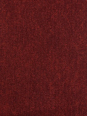 Ковролин Haima Coral 36 фото 1 | FLOORDEALER